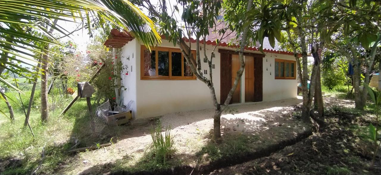 オコシンゴ Casita Tonina Bed & Breakfast エクステリア 写真