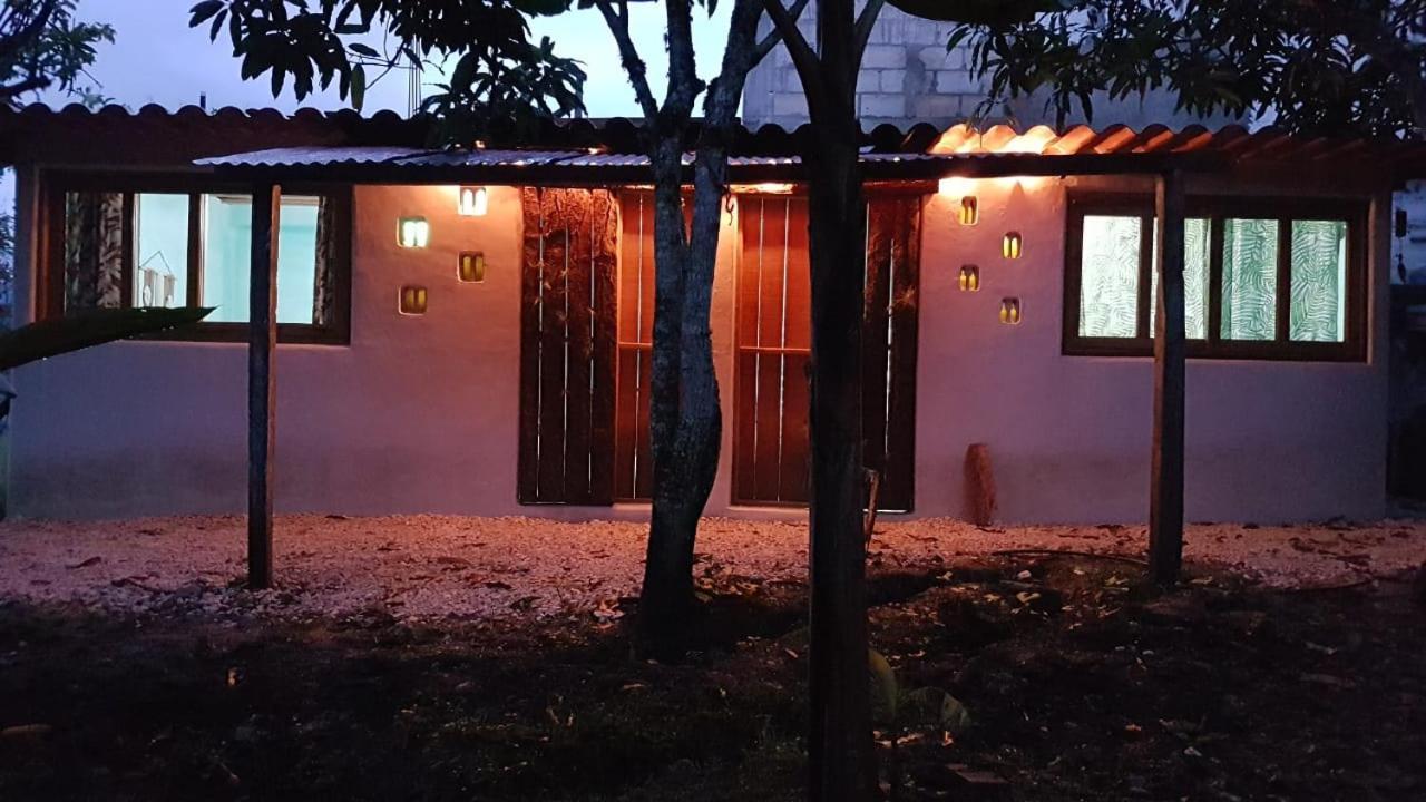 オコシンゴ Casita Tonina Bed & Breakfast エクステリア 写真