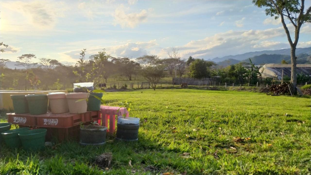 オコシンゴ Casita Tonina Bed & Breakfast 部屋 写真