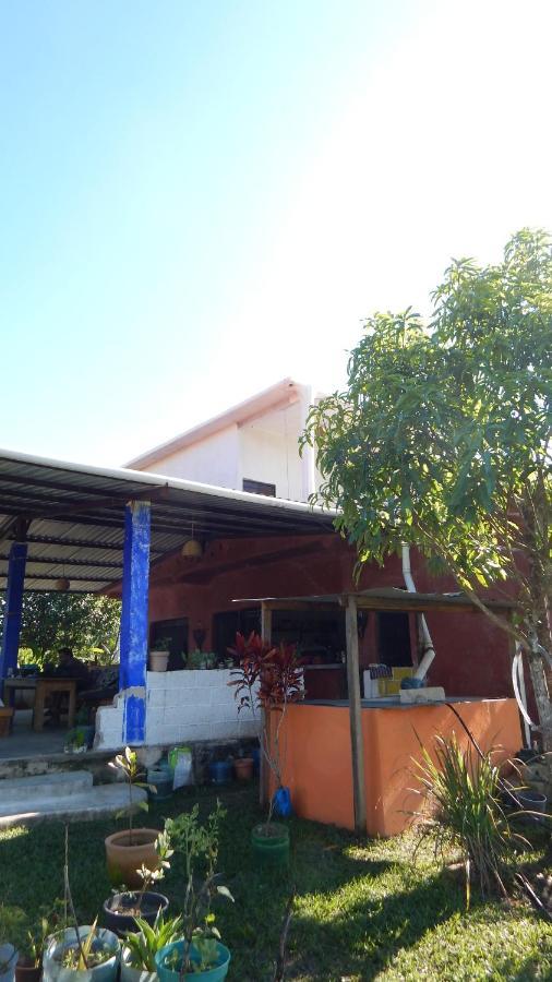 オコシンゴ Casita Tonina Bed & Breakfast エクステリア 写真