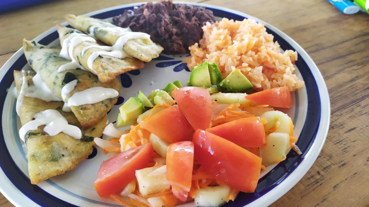 オコシンゴ Casita Tonina Bed & Breakfast エクステリア 写真