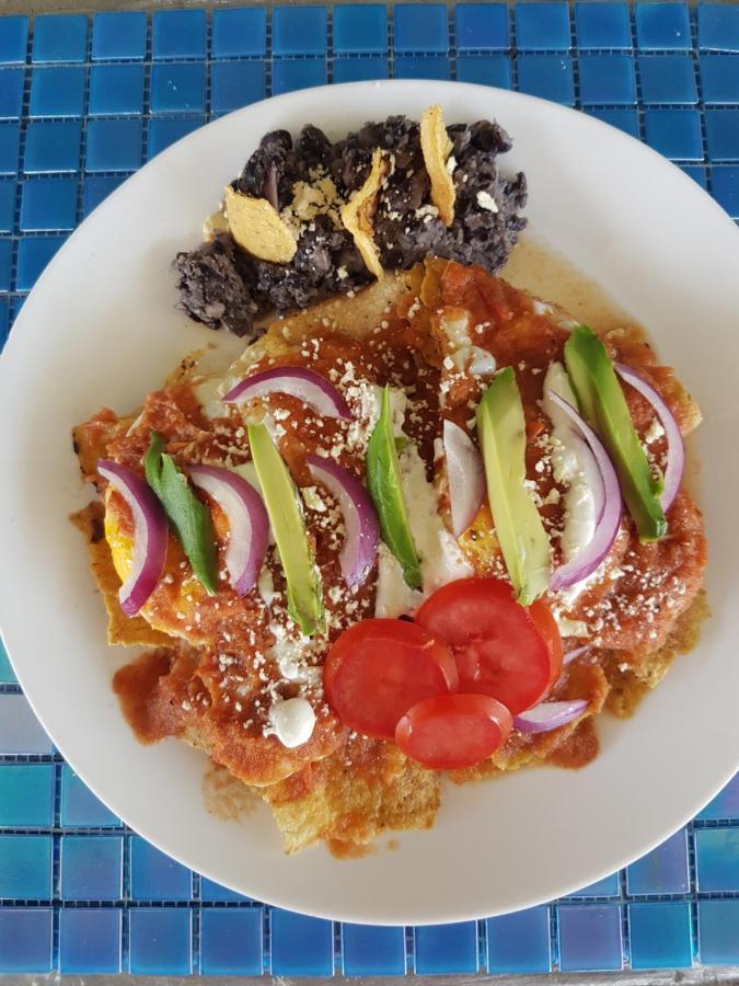 オコシンゴ Casita Tonina Bed & Breakfast エクステリア 写真